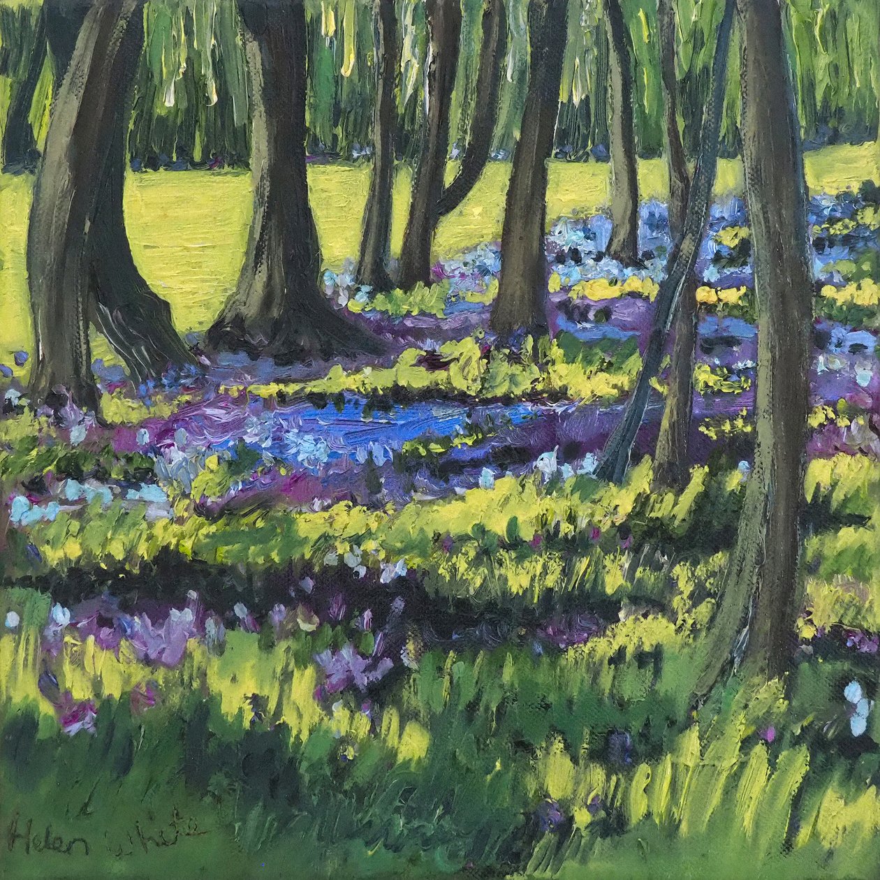 Bluebell Wood, 2008 finlandês tekijältä Helen White