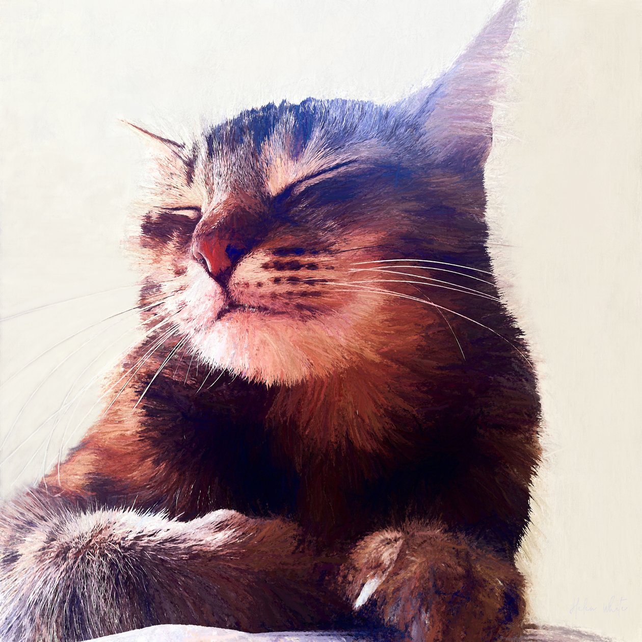Kissa, joka sai kerman, 2018 tekijältä Helen White