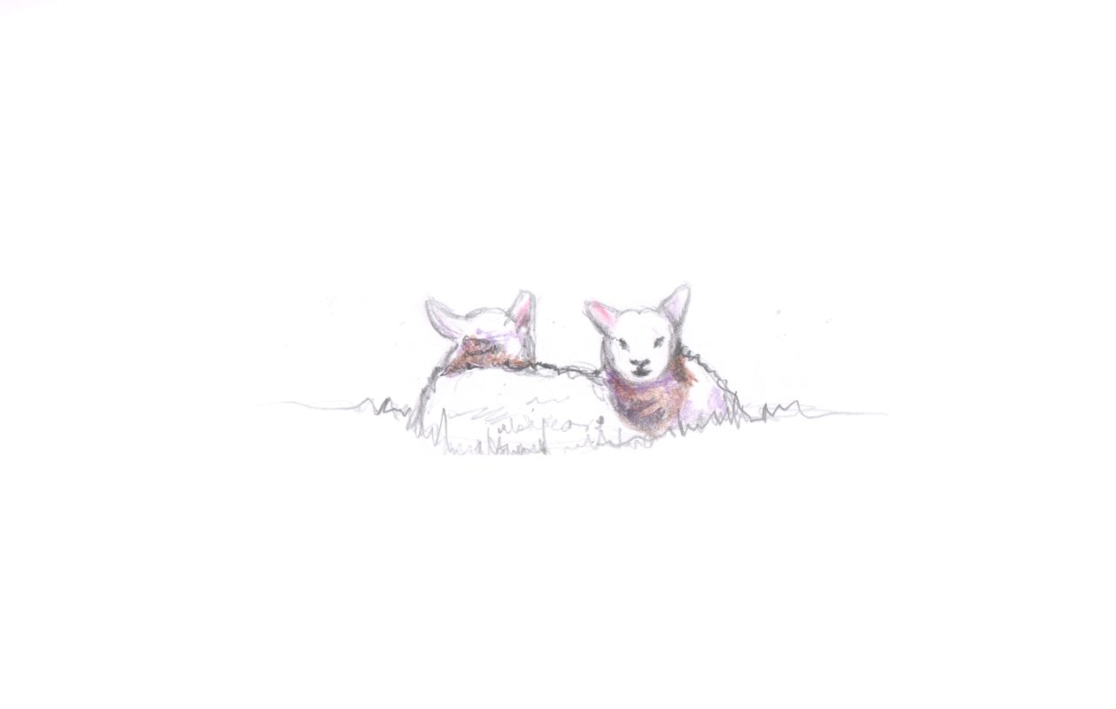 Tyytyväinen, 2016, (kynäpiirustus) tekijältä Helen White