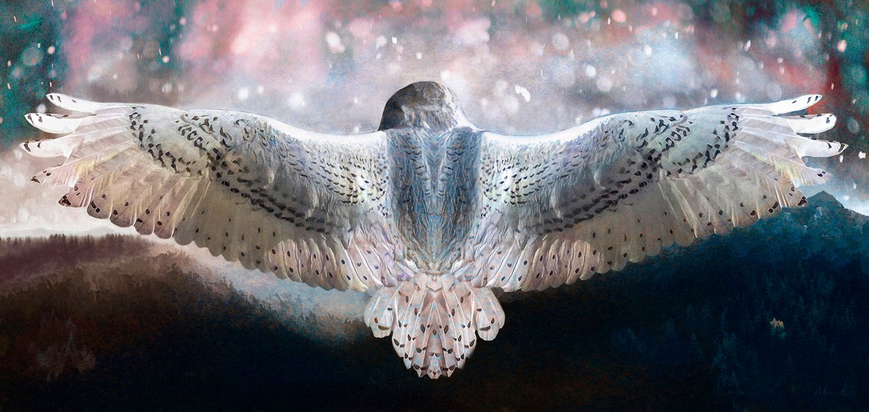 Uskalla lentää, 2019 tekijältä Helen White