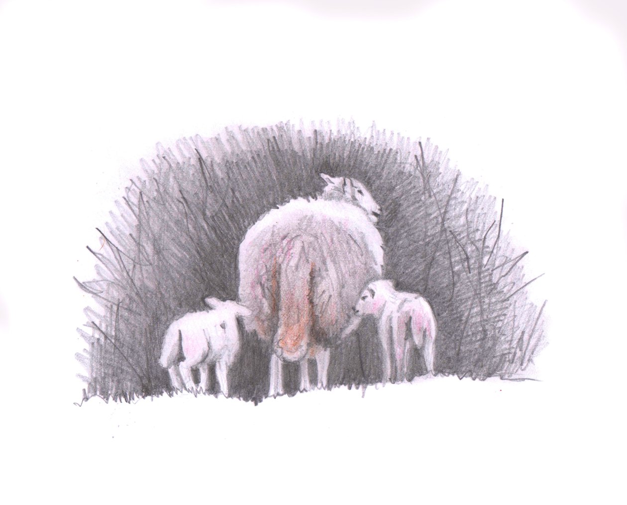 Follow, 2016, (lyijykynäpiirros) tekijältä Helen White