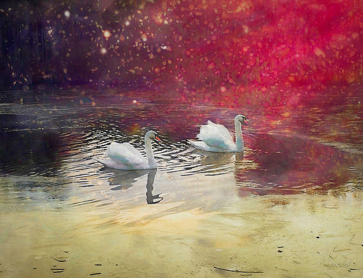 Frosted Lake, 2019 tekijältä Helen White