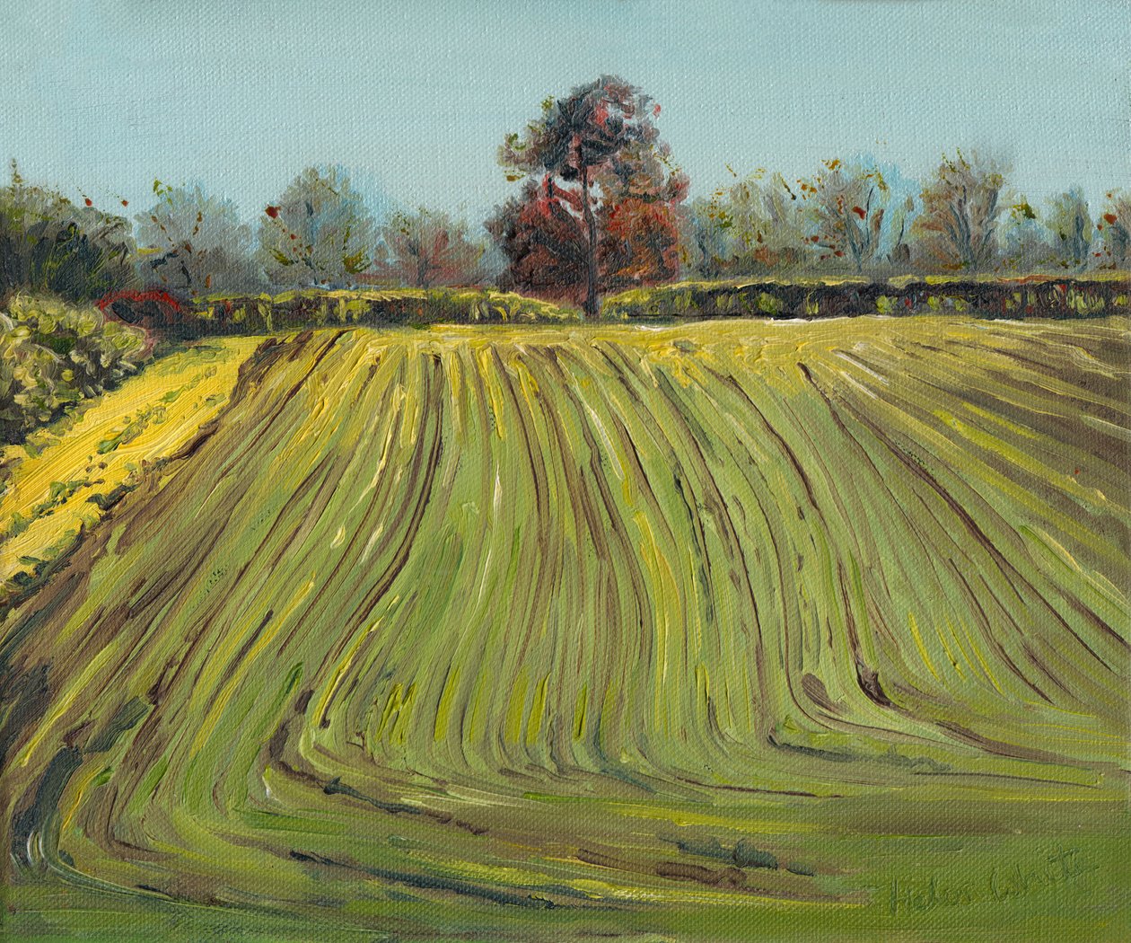 Furrows, 2008 tekijältä Helen White