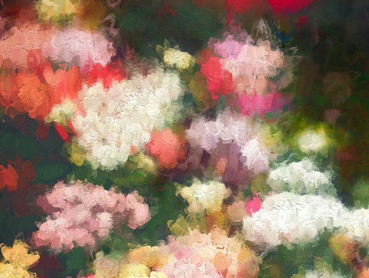 Sydämen puutarha, 2018 tekijältä Helen White