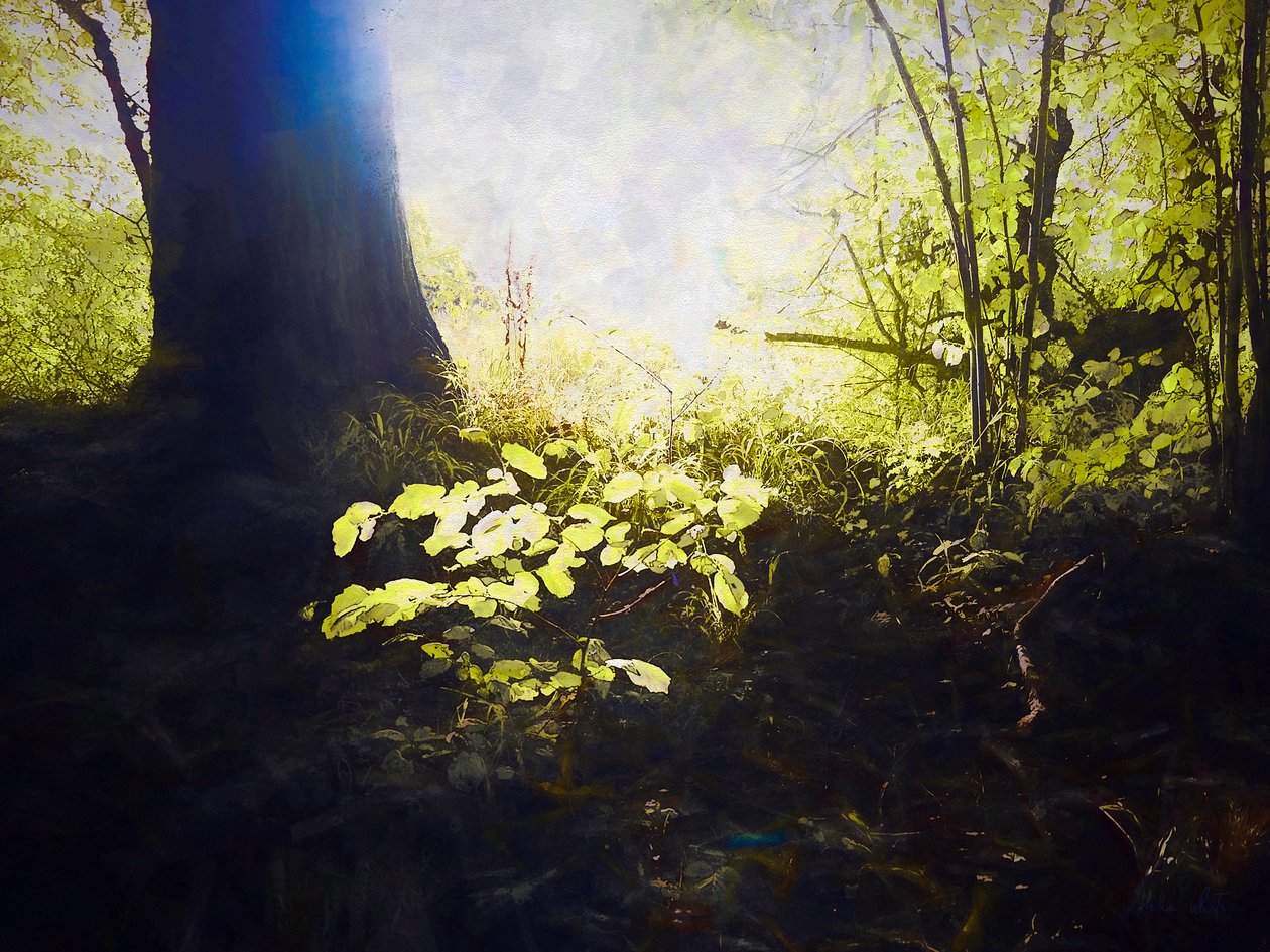 Pyhä paikka, 2018 tekijältä Helen White