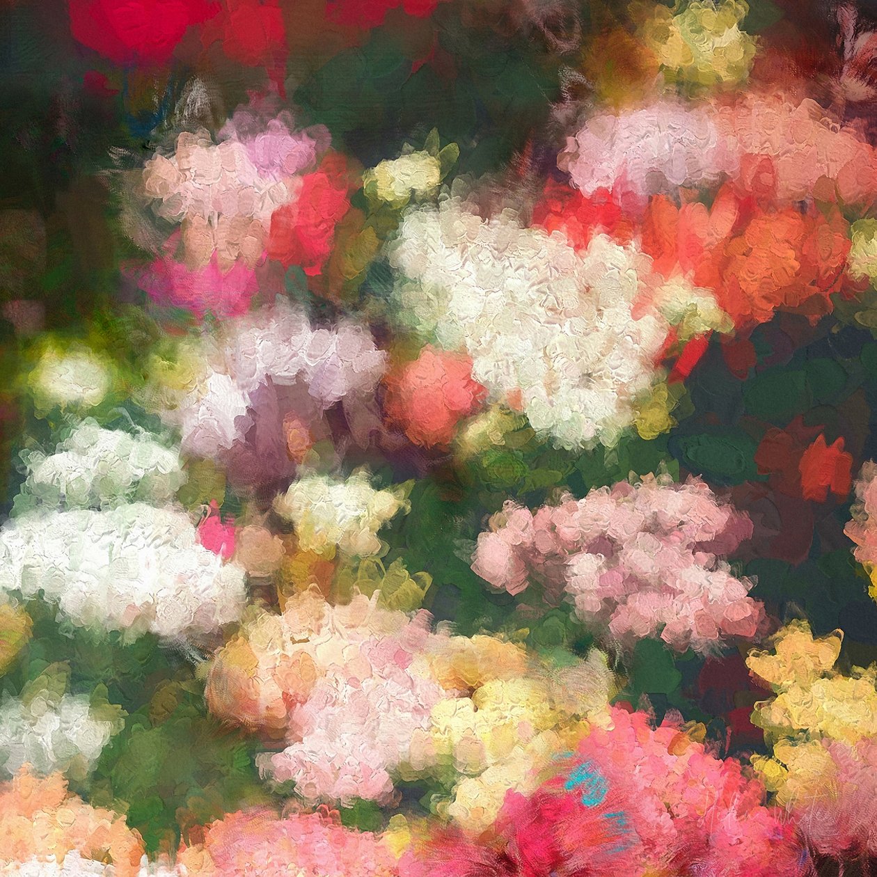 Sydämen puutarha, 2018 tekijältä Helen White