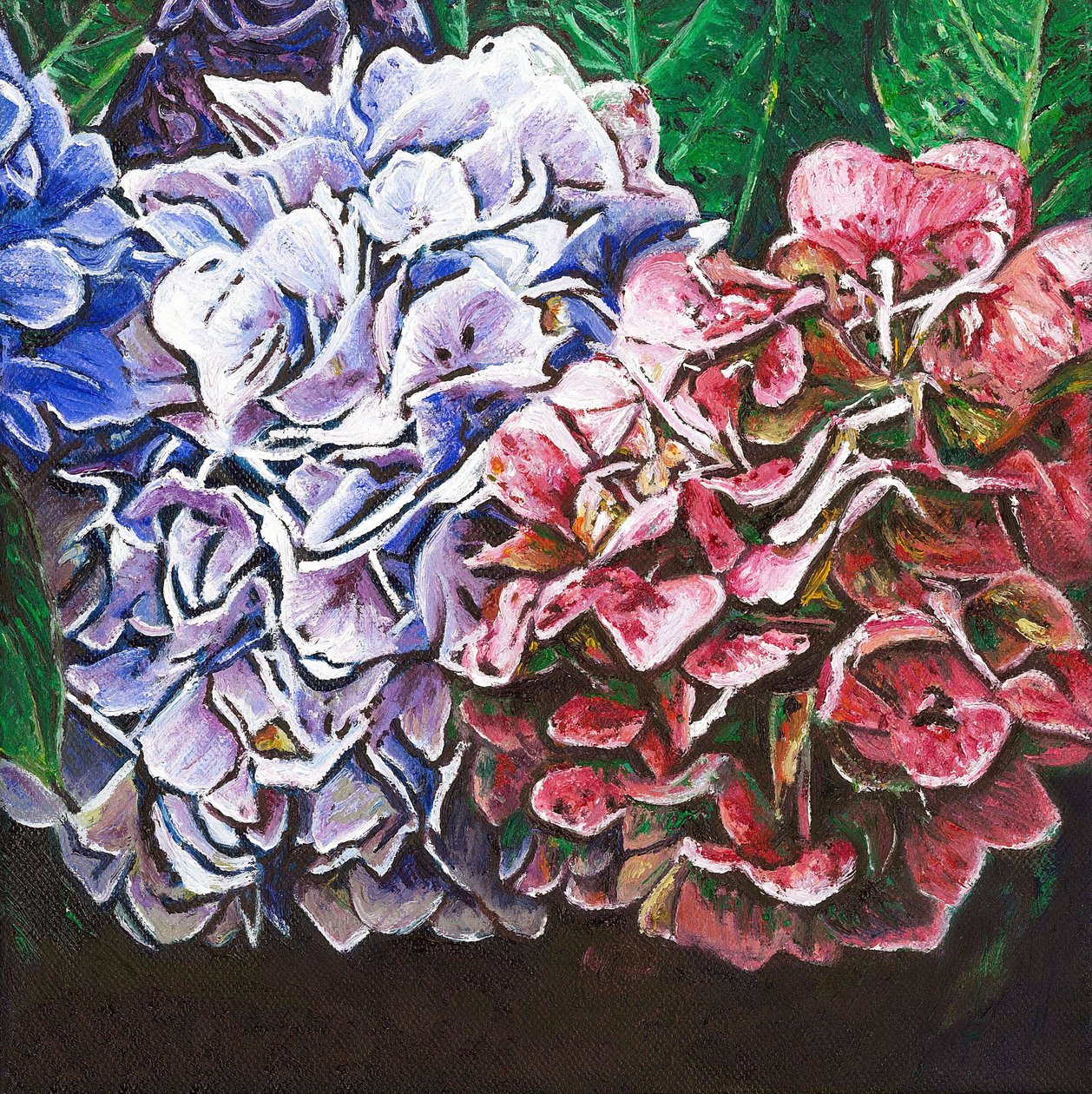 Hortensiat, 2010, tekijältä Helen White