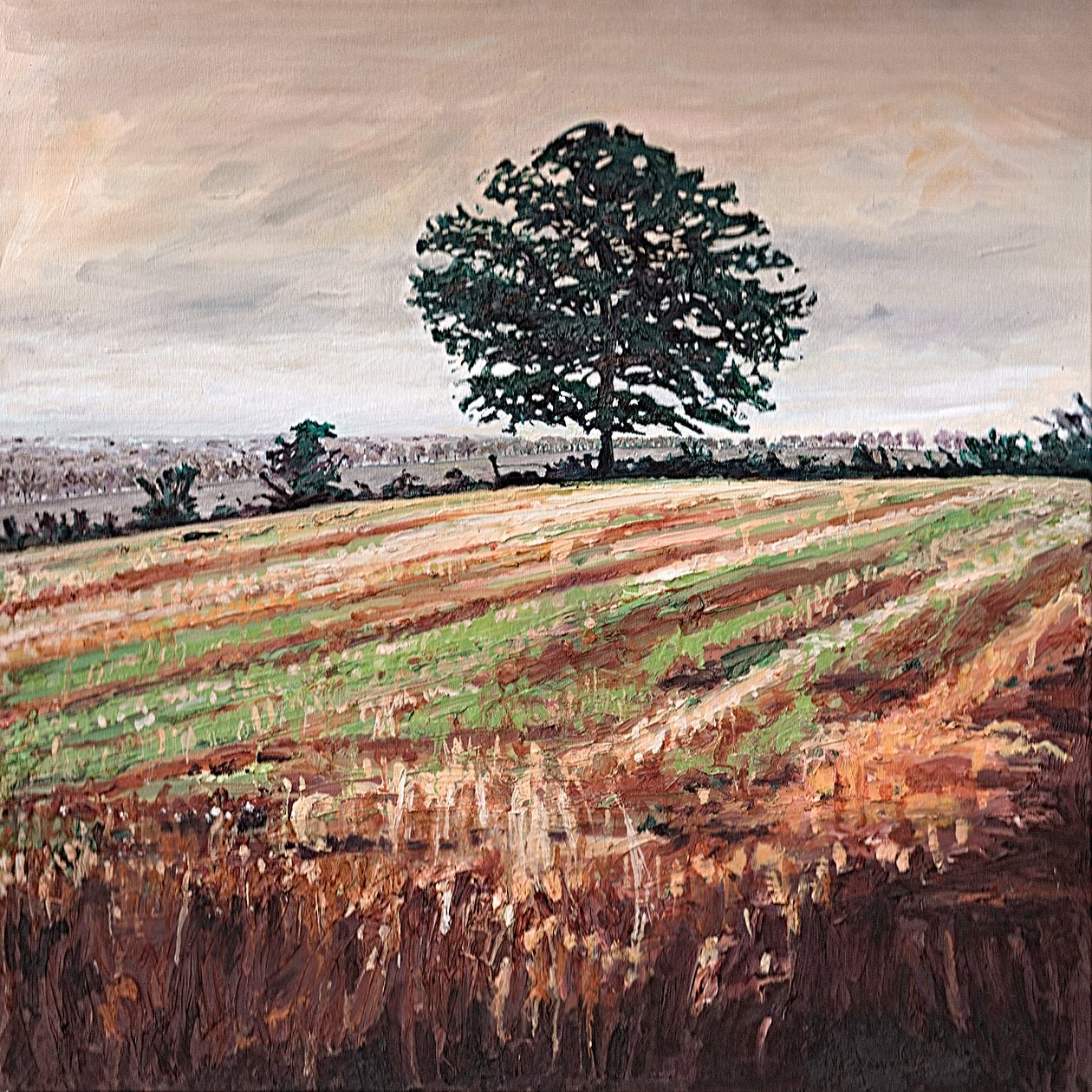 Myöhäinen iltapäiväkenttä, 2009 tekijältä Helen White