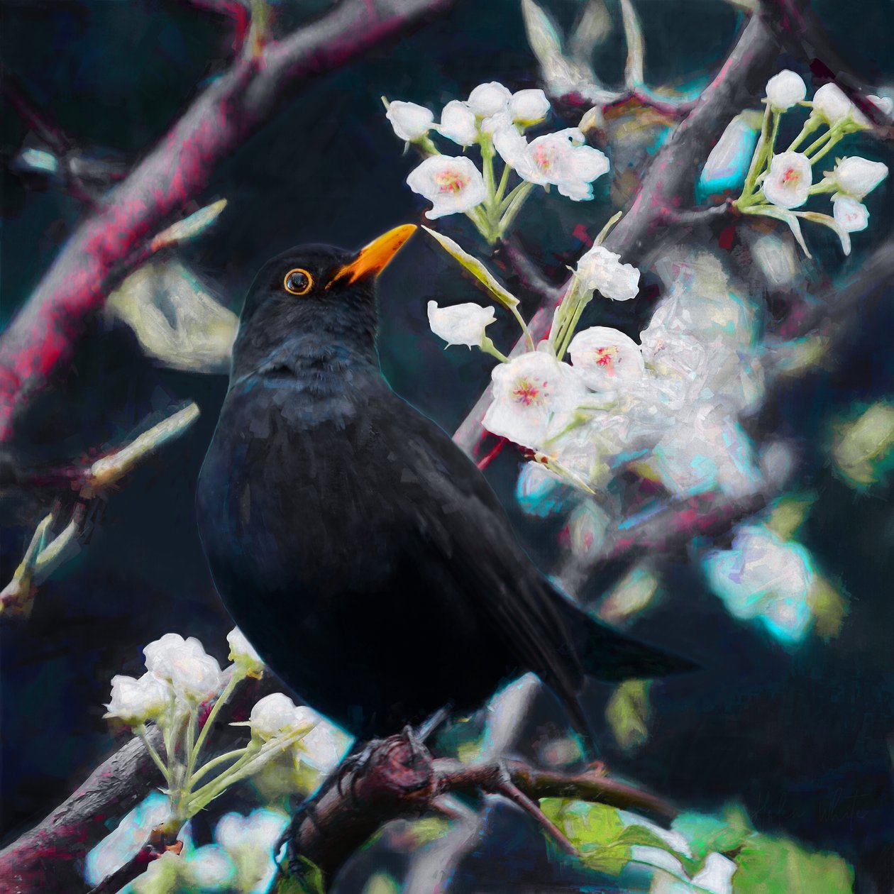 Lord of the Summer Song, 2019 tekijältä Helen White