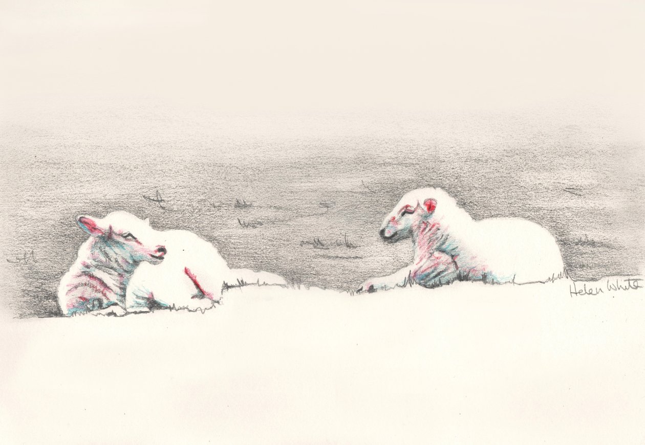 Nukkuminen, 2016, (lyijykynäpiirros) tekijältä Helen White