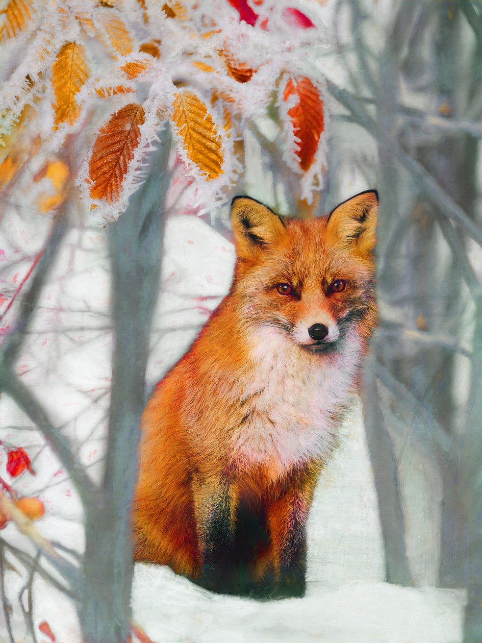 Koskematon, 2019 tekijältä Helen White