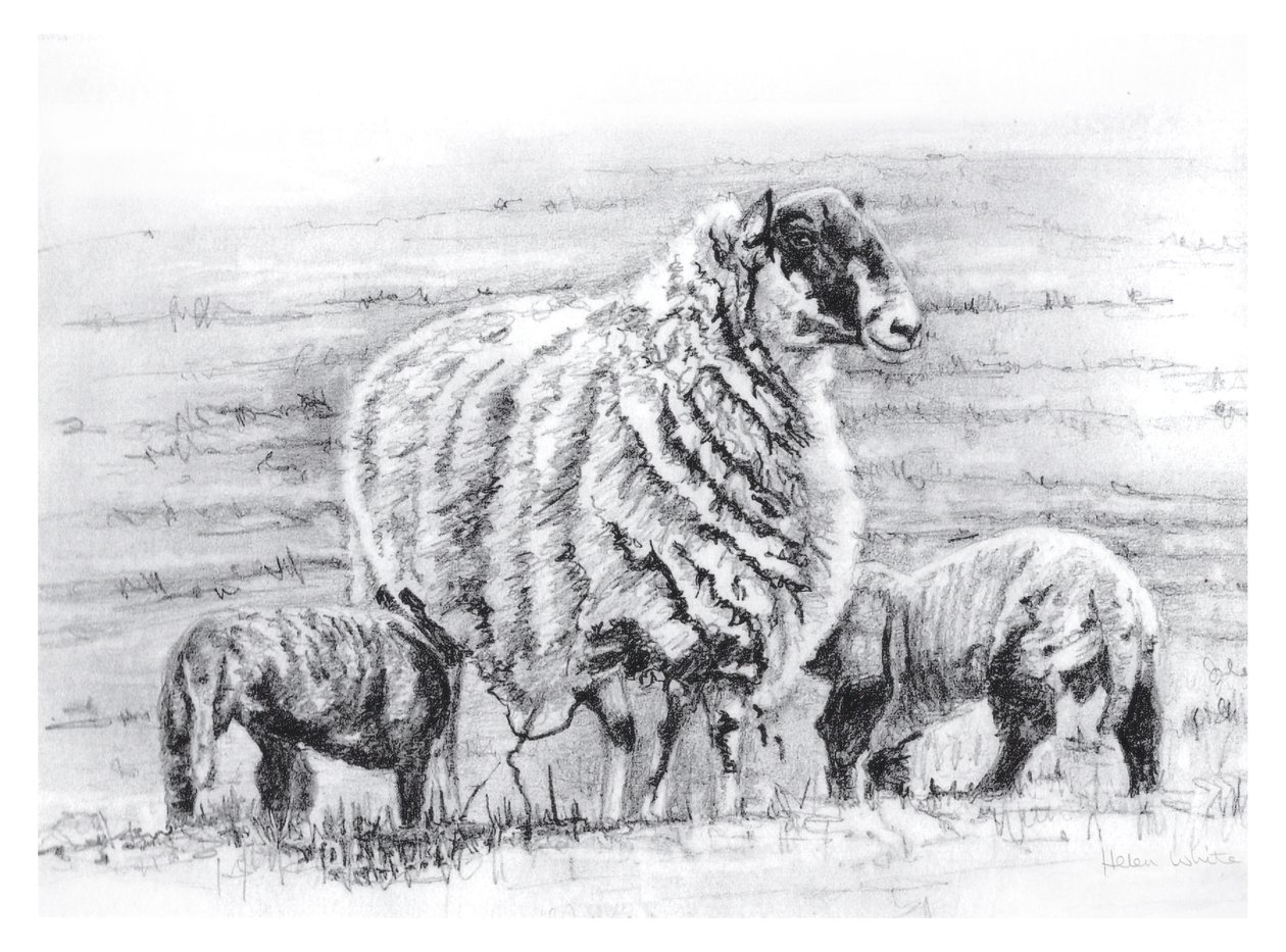 Ylpeä, 2012 tekijältä Helen White