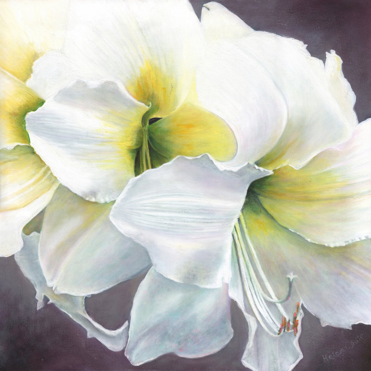 Puhdasta potentiaalia, 2016, tekijältä Helen White