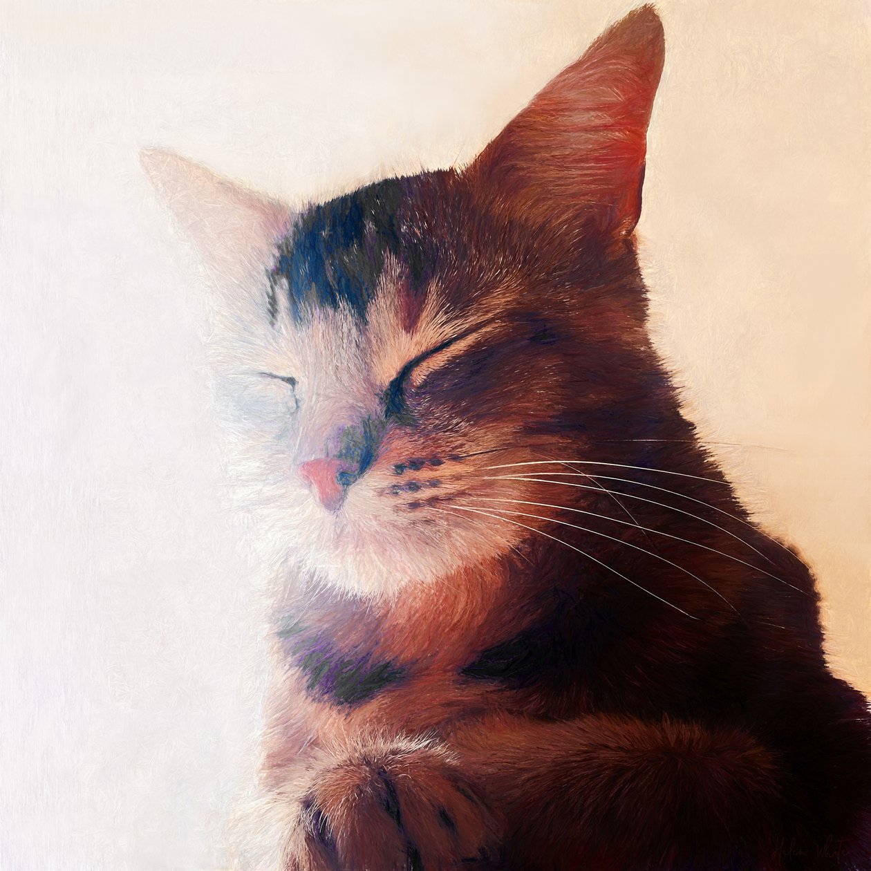 Purr-fect Spot, 2018 tekijältä Helen White