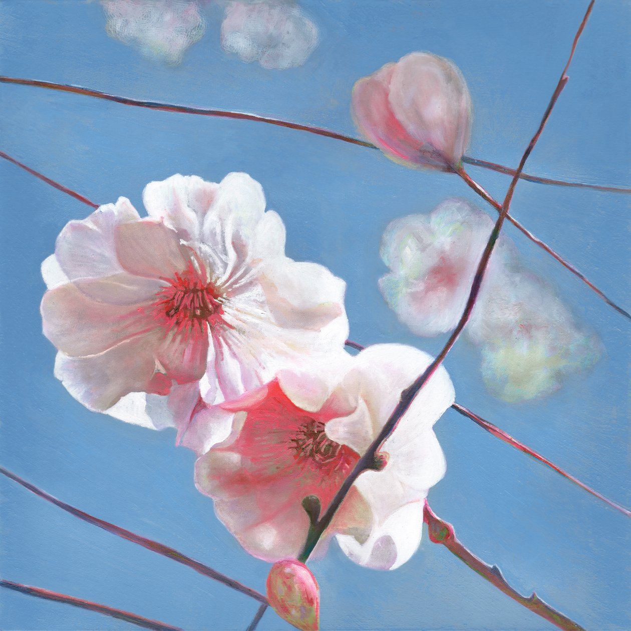 Loistava aloitus, 2015 tekijältä Helen White
