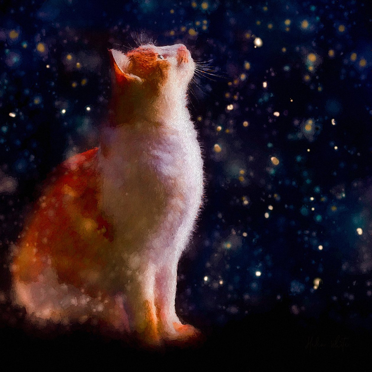 Snow Gazing, 2019 tekijältä Helen White