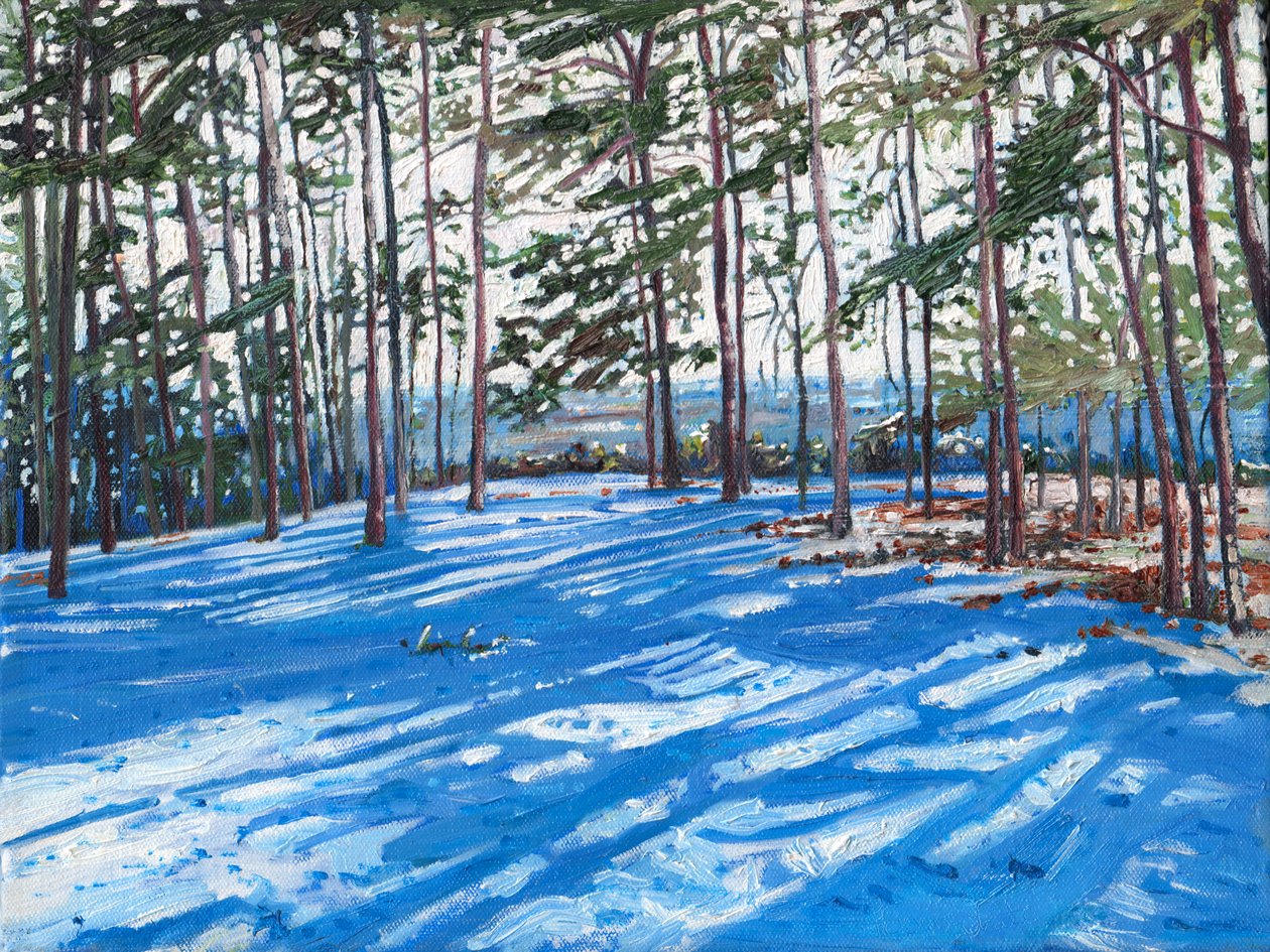 Snowy Ridge, 2009 tekijältä Helen White