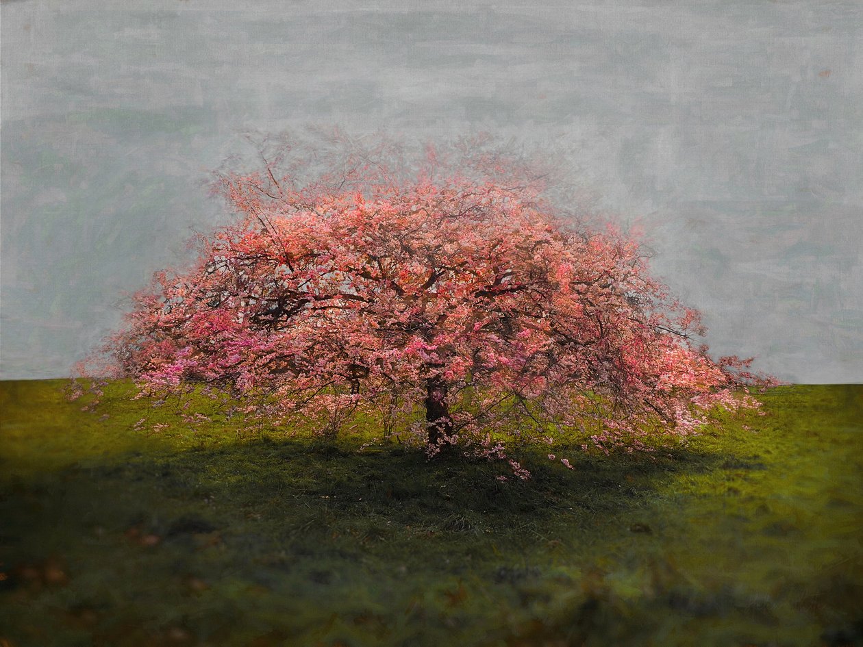 Stand Alone Beauty, 2019 tekijältä Helen White