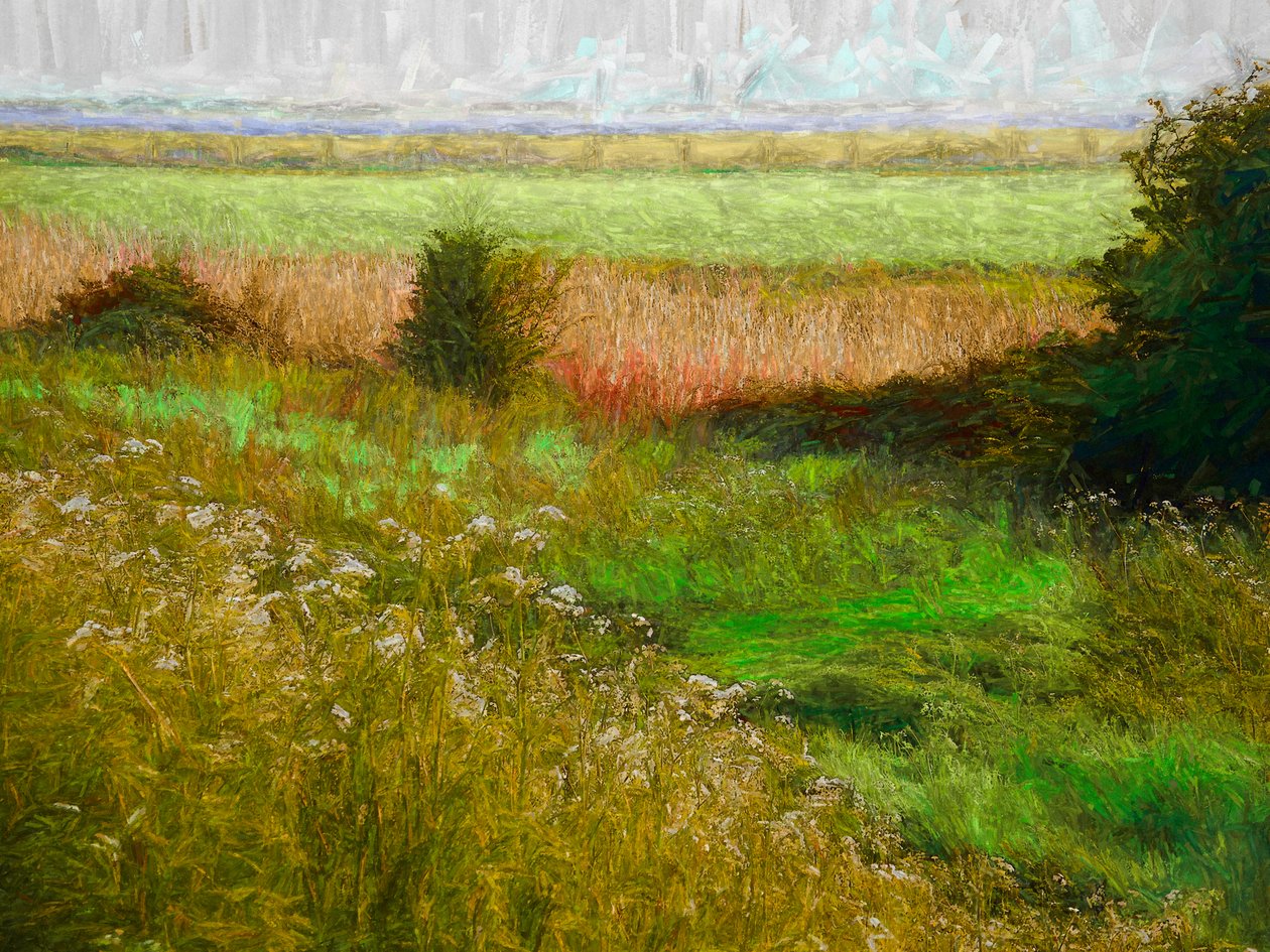Kesäniitty, 2019 tekijältä Helen White