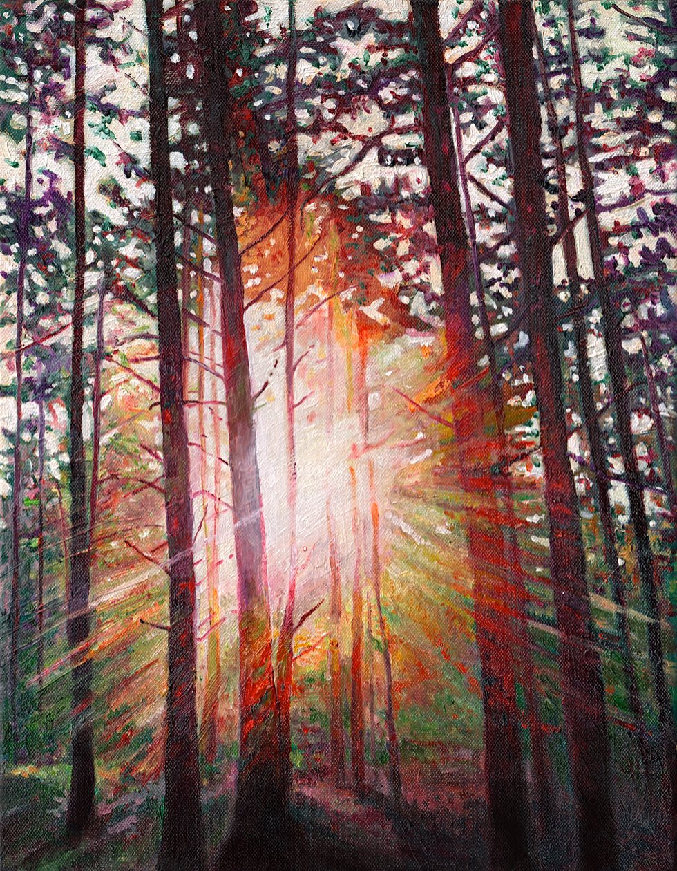Auringonpurkaus, 2010 tekijältä Helen White