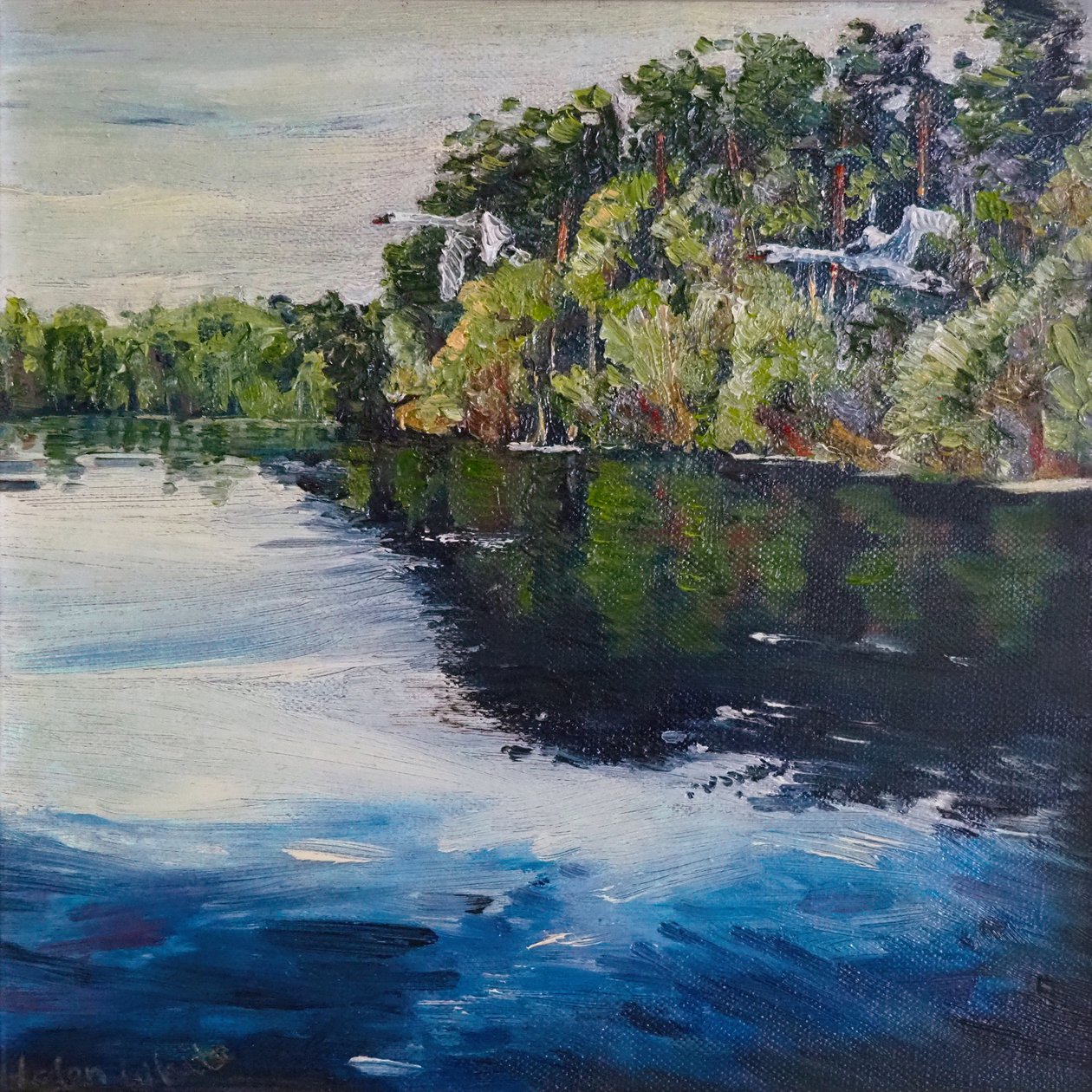 Joutsenen lento, 2008 tekijältä Helen White