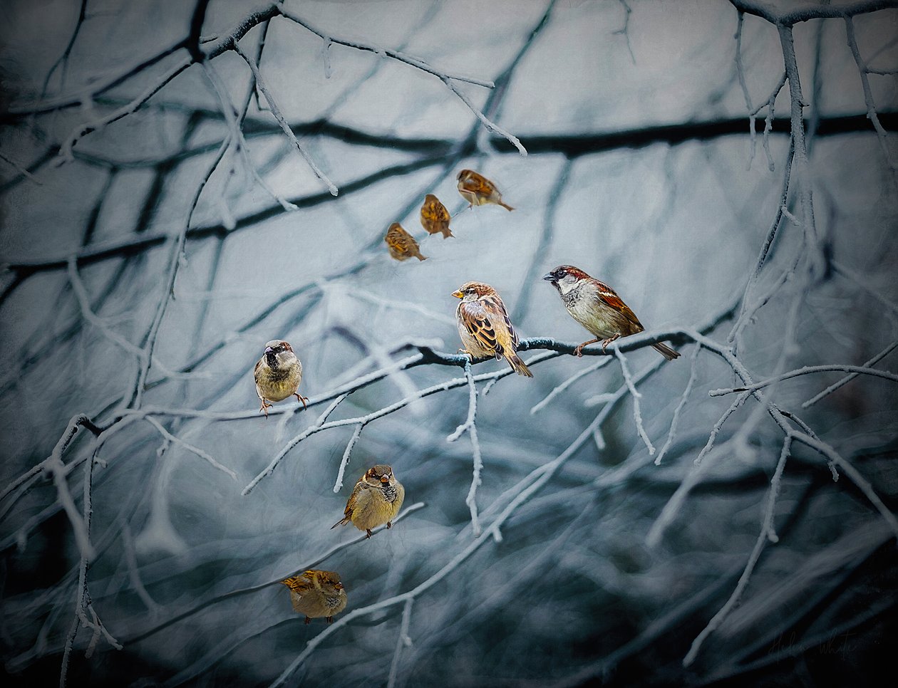 Täynnä elämää, 2019 tekijältä Helen White