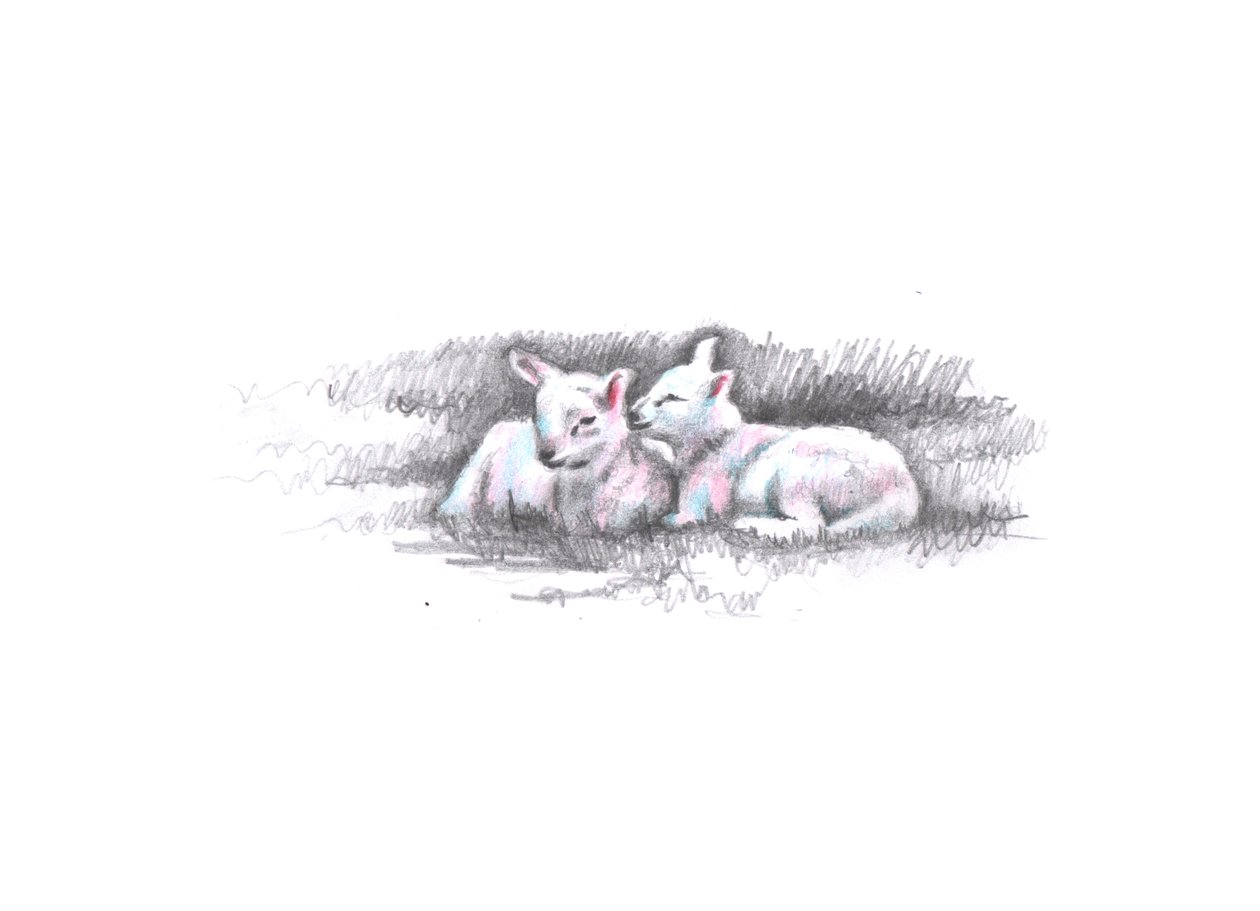 Twinned, 2016, (lyijykynäpiirros) tekijältä Helen White