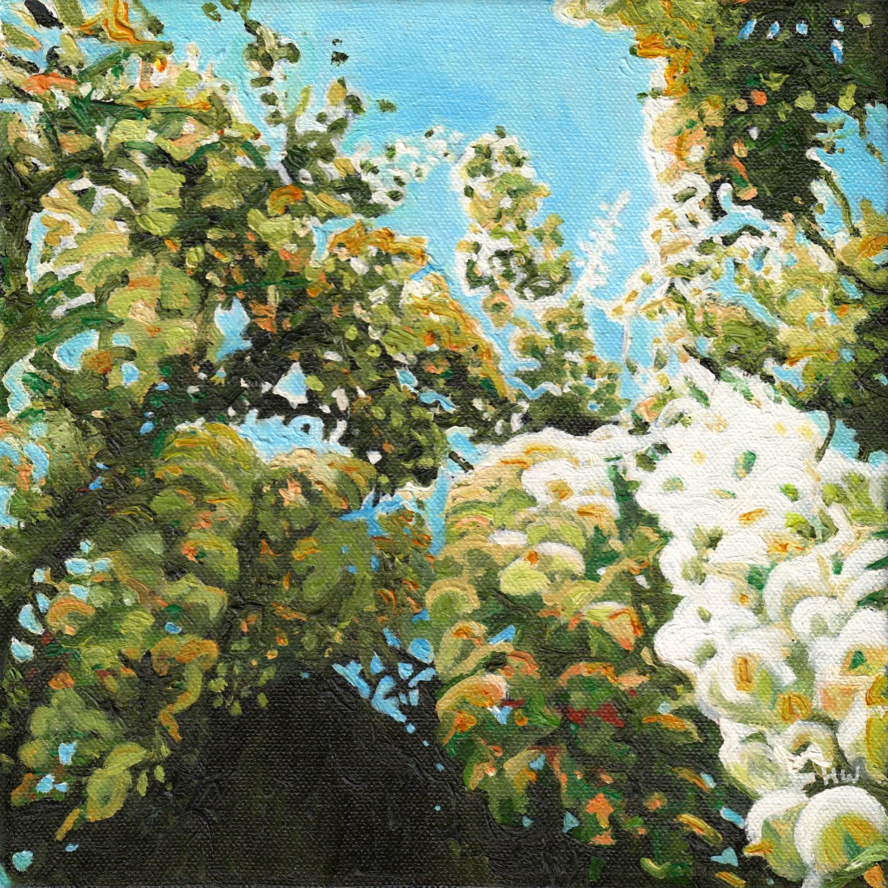 White Wisteria, 2012 tekijältä Helen White