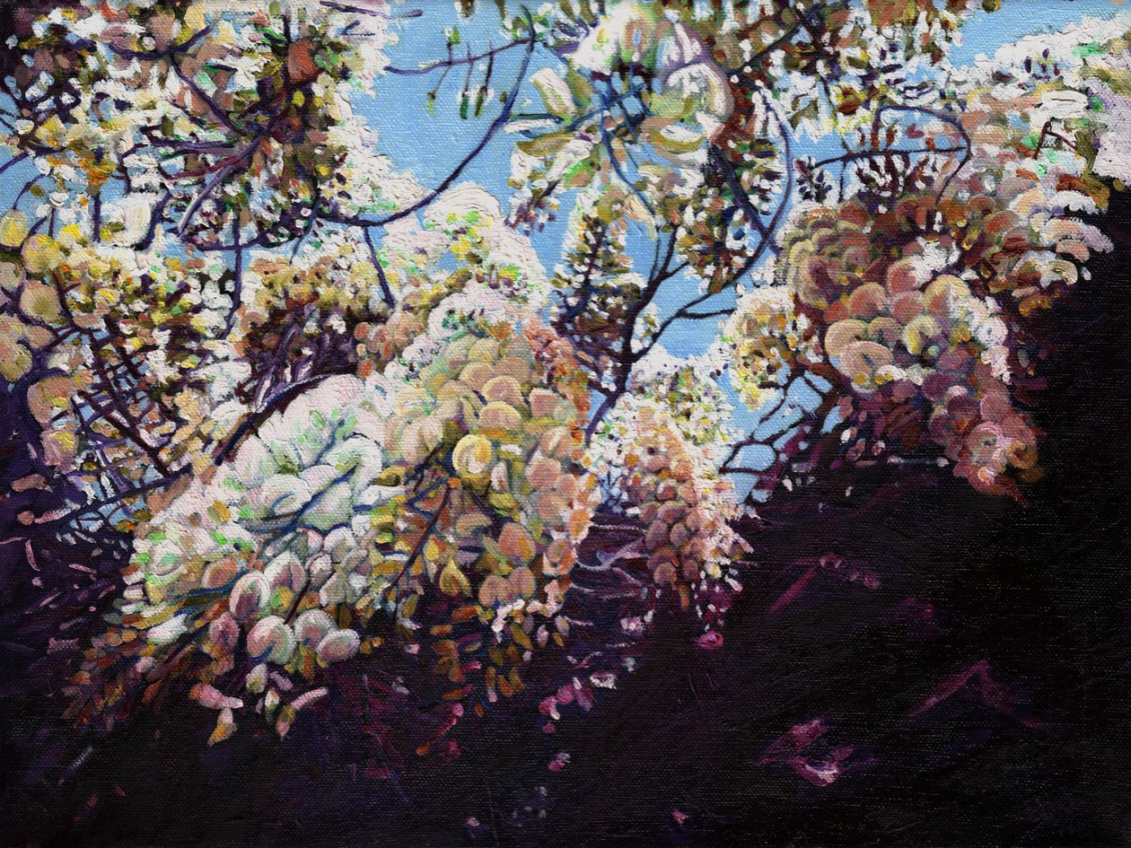 Valkoinen narsissi, 2012, tekijältä Helen White