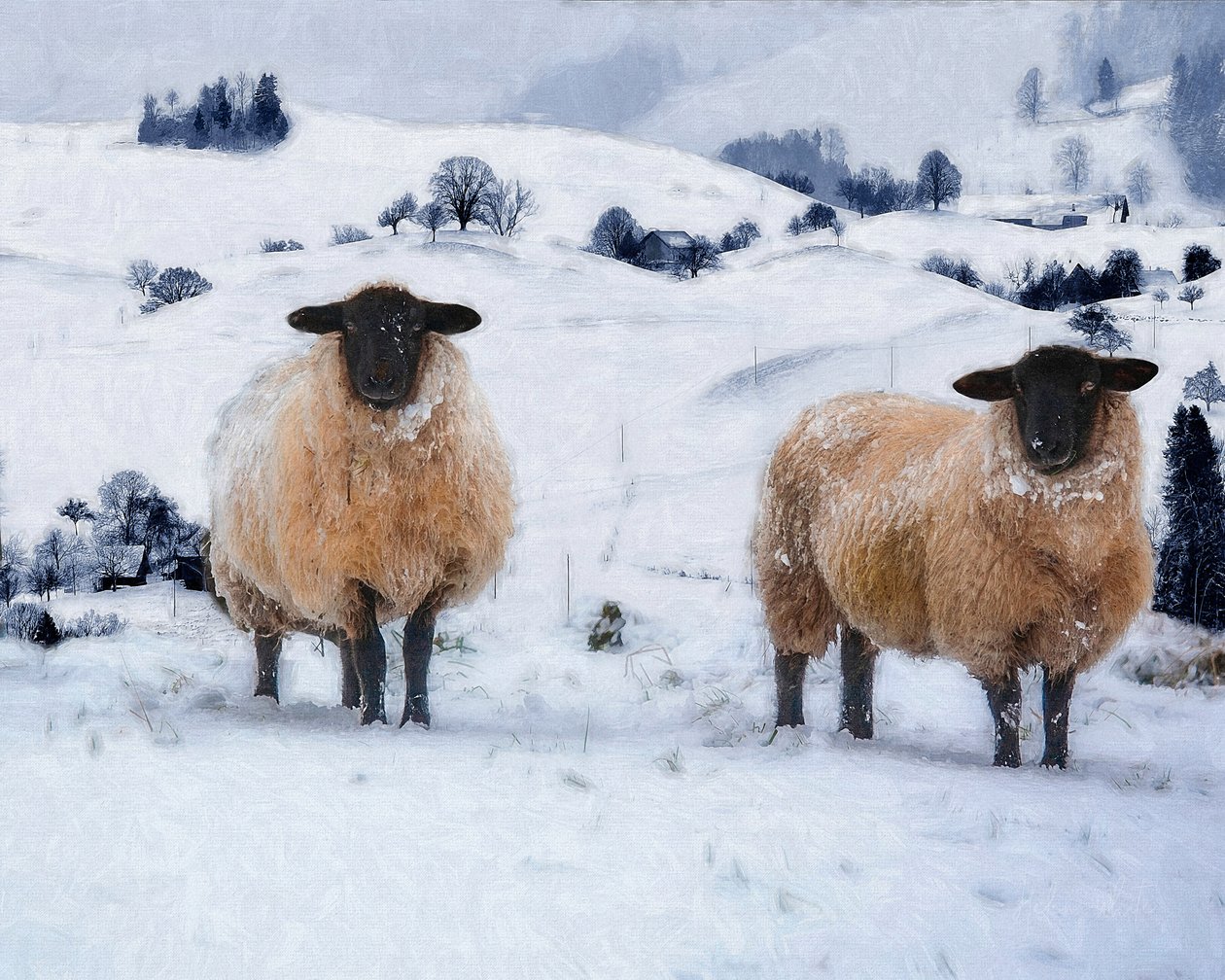 Talvitakit, 2019 tekijältä Helen White