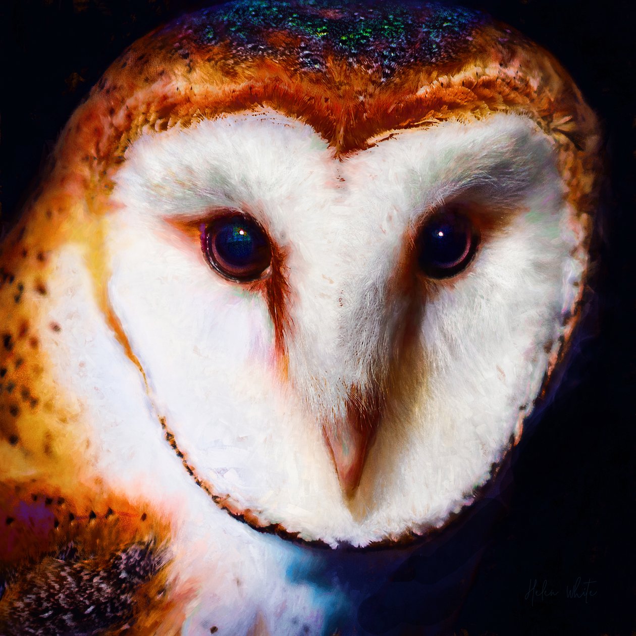 Wisdom in the Dark, 2019 (sekoitettu media) tekijältä Helen White