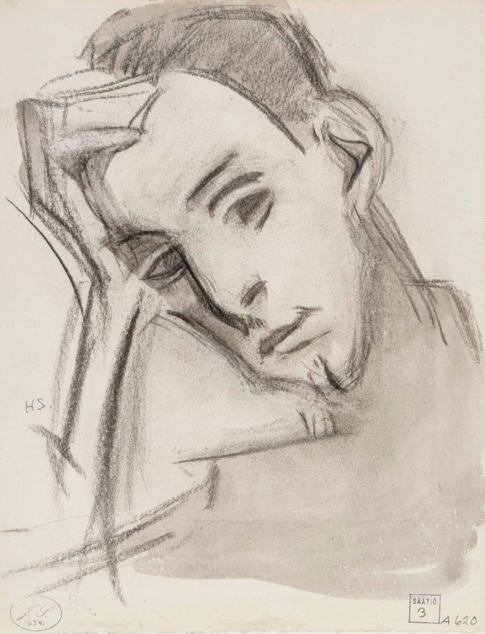 Serkku tekijältä Helene Schjerfbeck