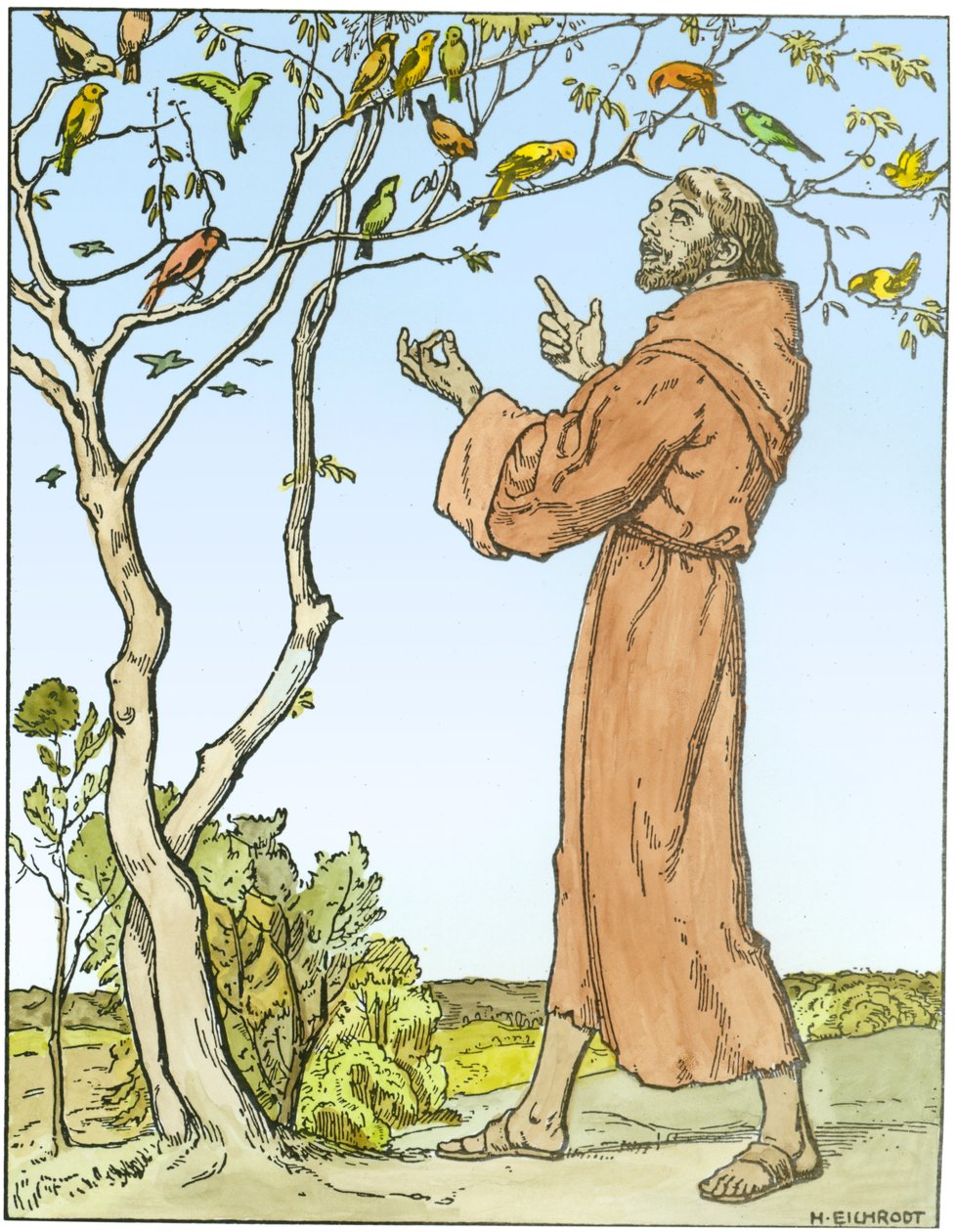 Franciscus Assisilainen (n.1181-1226) saarnaa linnuille (myöhempi väritys). tekijältä Hellmut Eichrodt