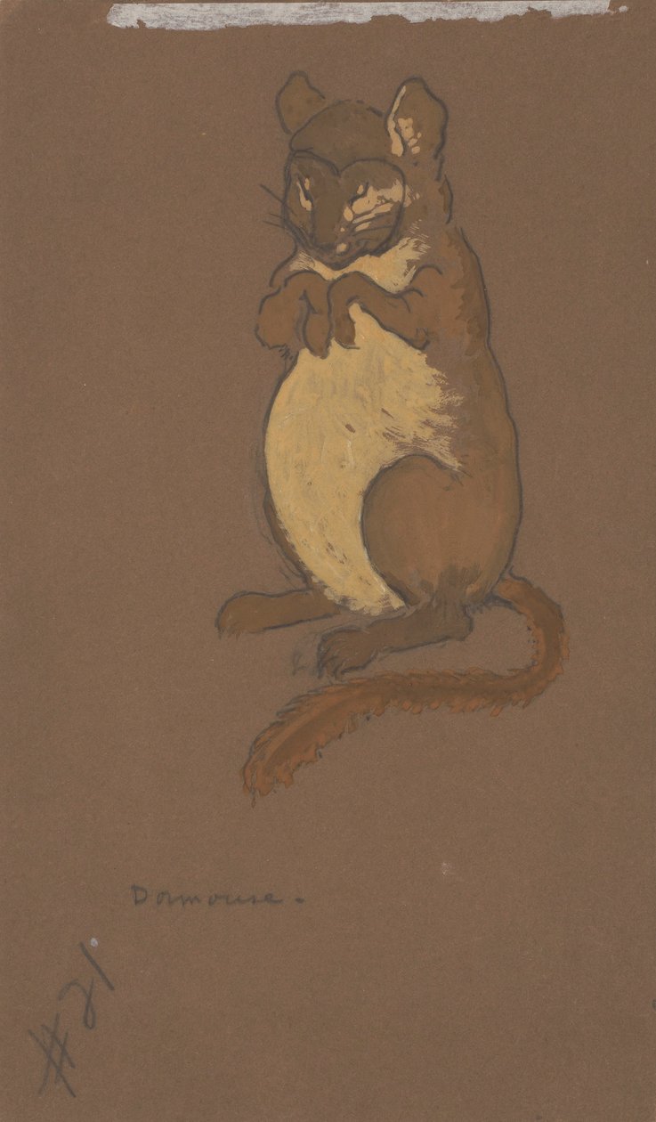 Dormouse (pukusuunnittelu elokuvaan Liisa Ihmemaassa, 1915). tekijältä Henderson, William Penhallow