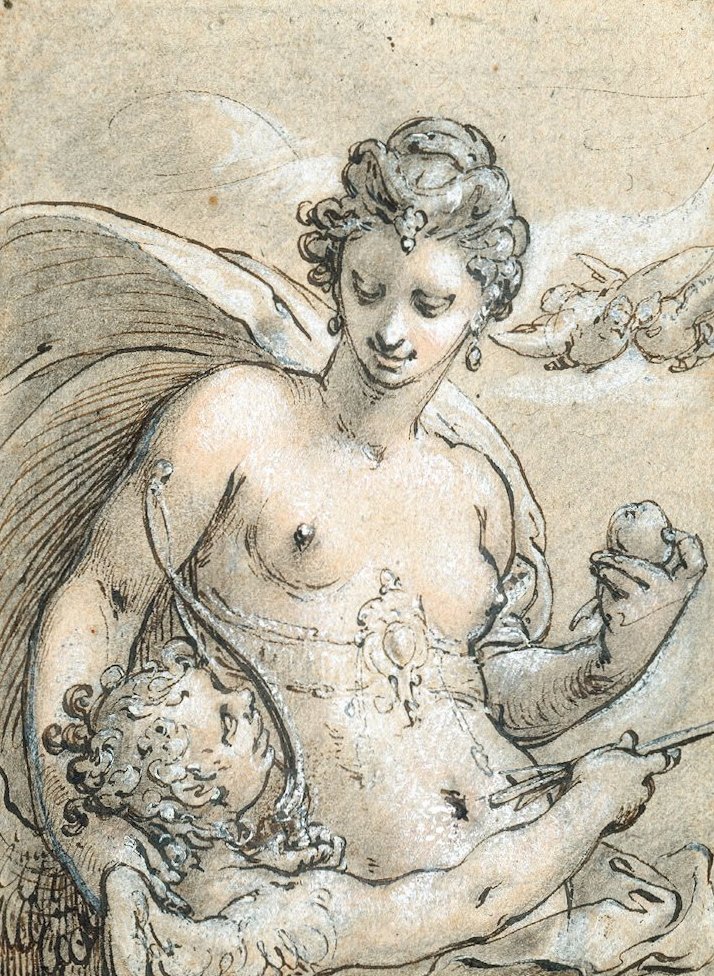 Venus tekijältä Hendrik Goltzius