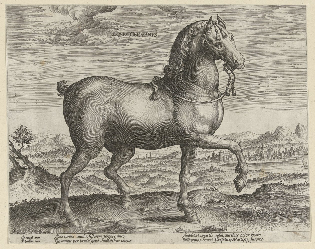 Ori Saksasta Eqvvs Germanvs (otsikko objektissa) Hevosrodut Itävallan Don Juanin kuninkaallisilta tallilta (sarjan nimi) Equile Ioannis Austriaci Caroli (sarjan nimi) tekijältä Hendrick Goltzius (possibly)