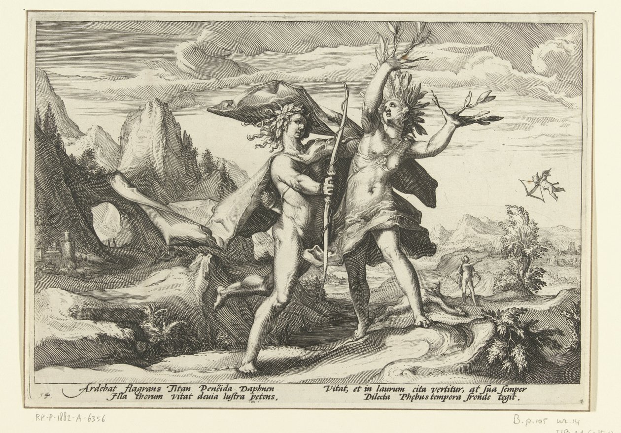 Daphne muuttuu laakeripuuksi Ovid