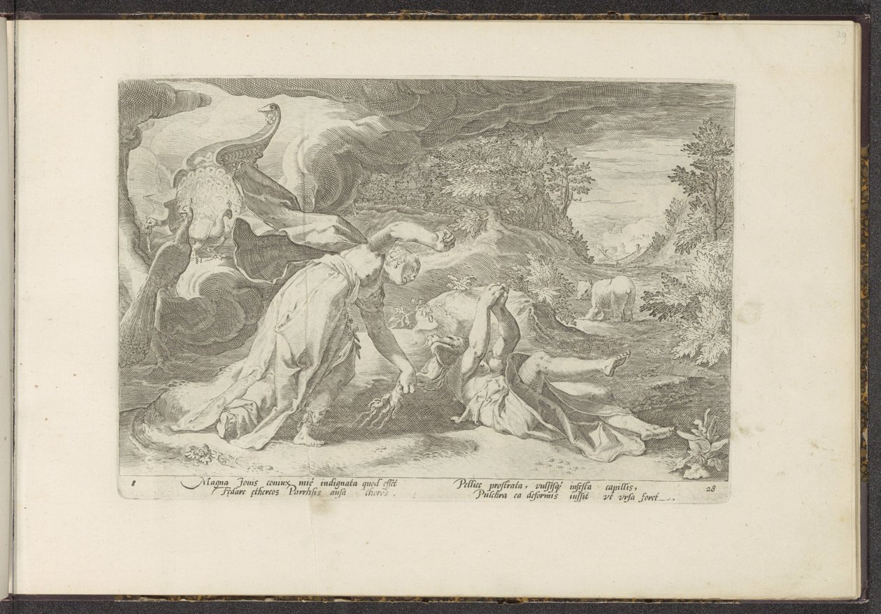 Juno muuttaa Calliston karhuksi Ovid