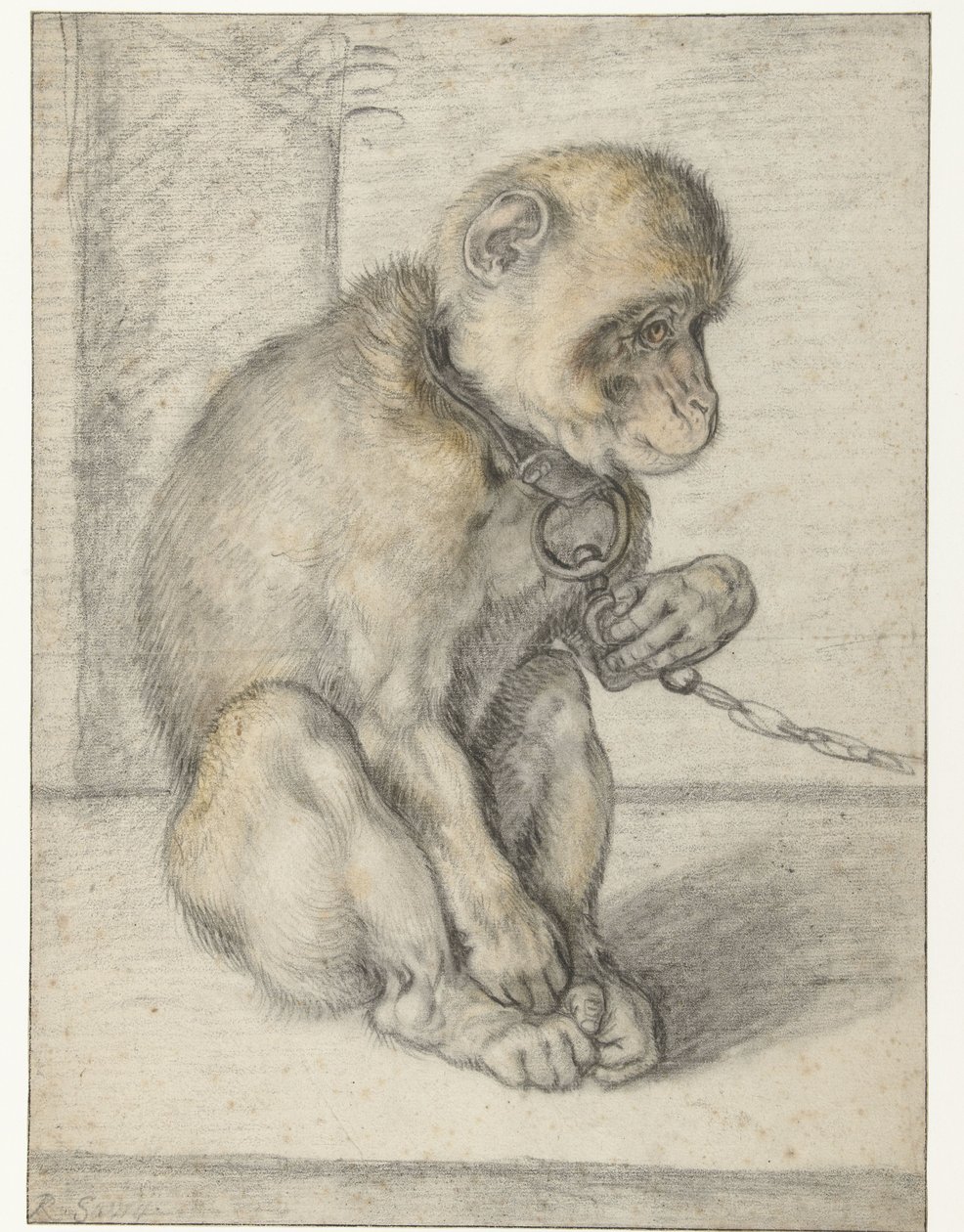 Un mico assegut en una cadena Monkey on a Chain, assegut finlandès tekijältä Hendrick Goltzius