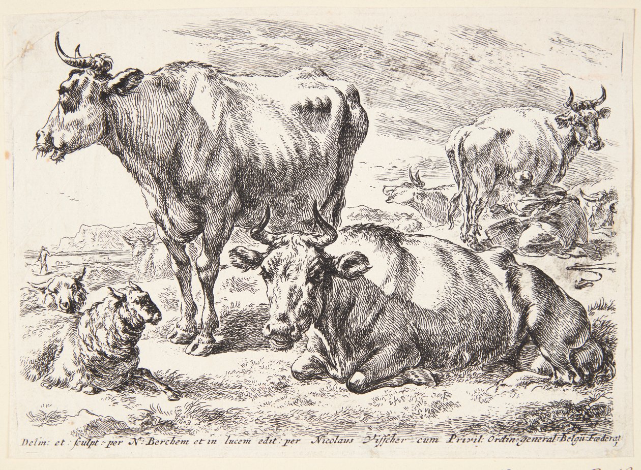 Out-suvun jäsenen muotokuva. Cornelis Out (?) tekijältä Hendrick Goltzius
