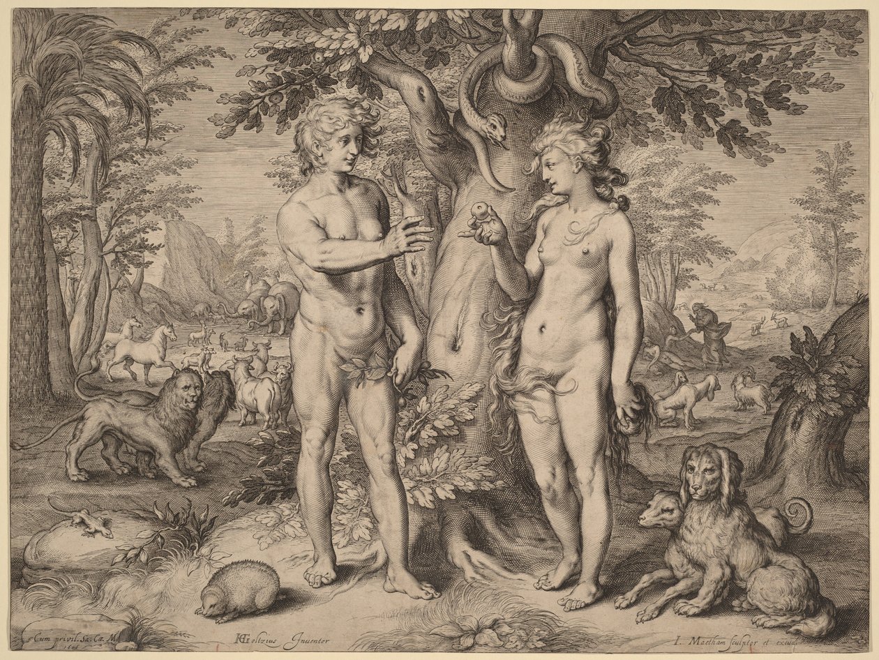 Ihmisen lankeemus tekijältä Hendrick Goltzius