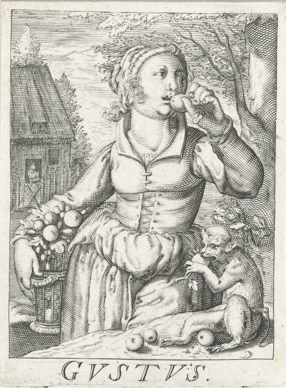 Maku (Gustus), nainen hedelmien kanssa Gustus (otsikko esineessä) Viisi aistia (sarjan nimi) tekijältä Hendrick Hondius (rejected attribution)