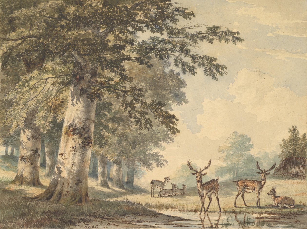 Hirvi pyökkipuiden alla talvella, 1853. tekijältä Hendrik Gerrit ten Cate