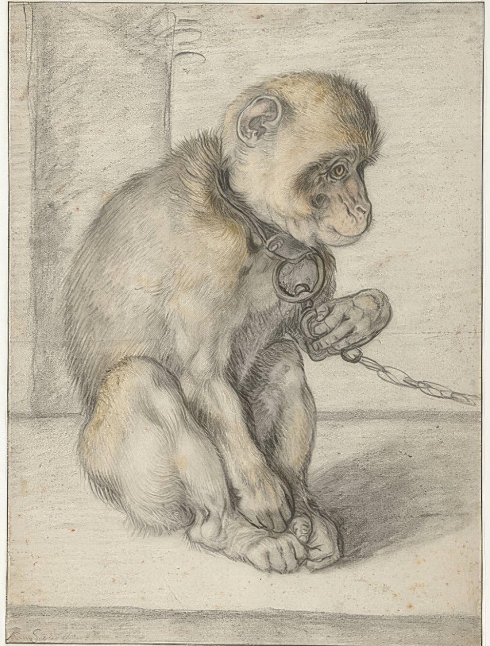 Istuva apina ketjussa. 1592-1602 tekijältä Hendrik Goltzius