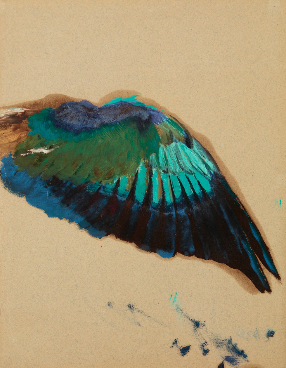 Study of a Wing, n. 1899 (öljy paperille) tekijältä Henryk Siemiradzki