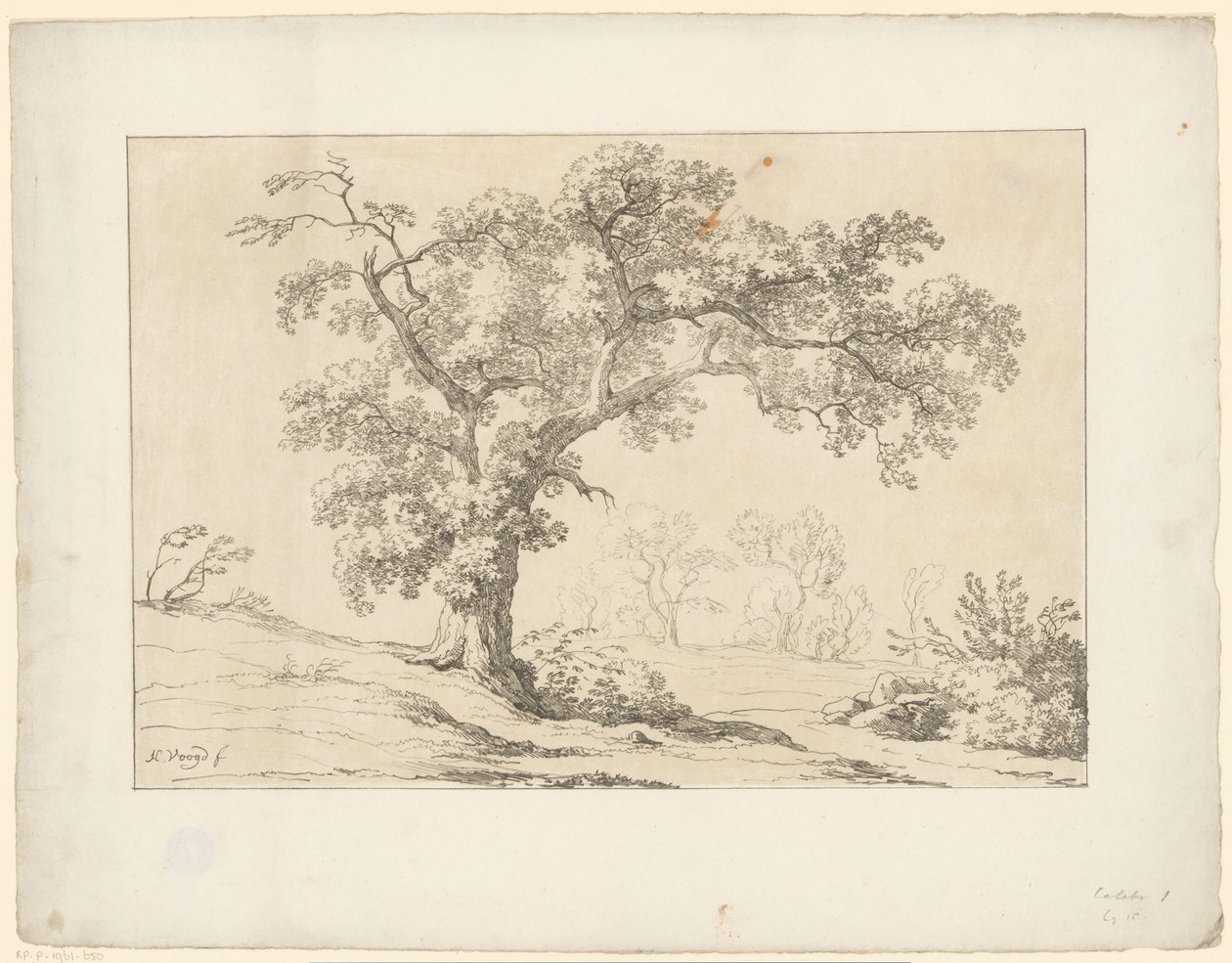 Puu maisemassa Tentamina Lithographica (sarjan nimi) Italian maisemat (sarjan nimi) tekijältä Hendrik Voogd