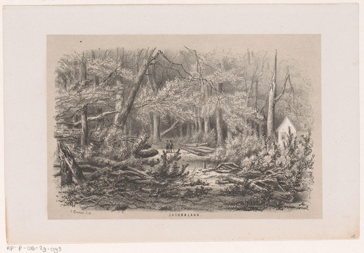 Puut kaatuivat Jacobalassa myrskyn jälkeen 28.5.1860 Jacobalaan (otsikko esineessä) Albumi kymmenestä litografoidusta luonnoksesta, jotka kuvaavat Tooneelen of the Destruction, 28. toukokuuta 1860 myrskyn kiihottamana Gravenhaagsche Boschissa, tekijältä Hendrik Wilhelmus Last
