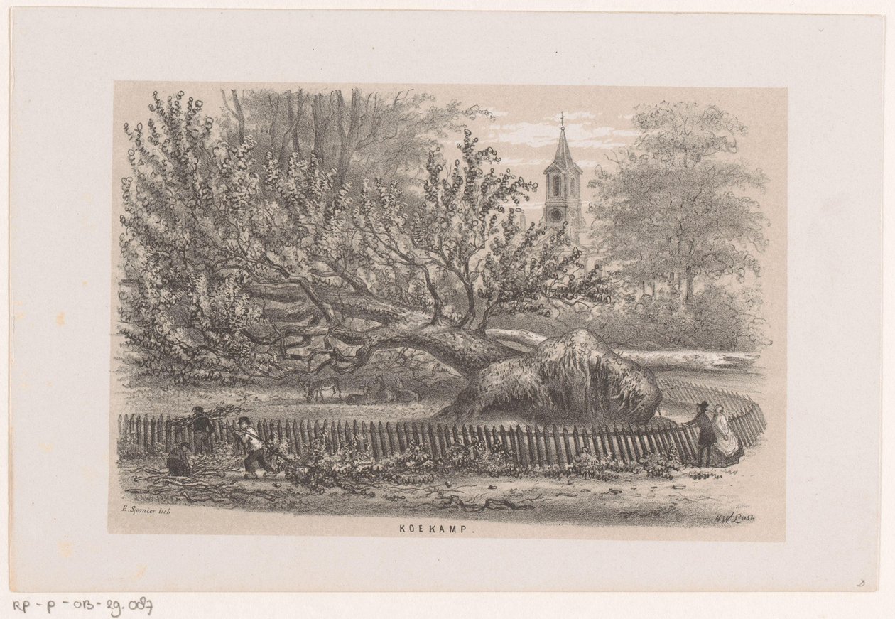 Puu kaadettiin Koekampissa 28. toukokuuta 1860 myrskyn jälkeen Koekamp (otsikko esineessä) Albumi kymmenestä litografoidusta luonnoksesta, jotka kuvaavat Tooneelen of the Destruction, 28. toukokuuta 1860 myrskyn kiihottamana Gravenhaagsche Boschissa, Sche. tekijältä Hendrik Wilhelmus Last