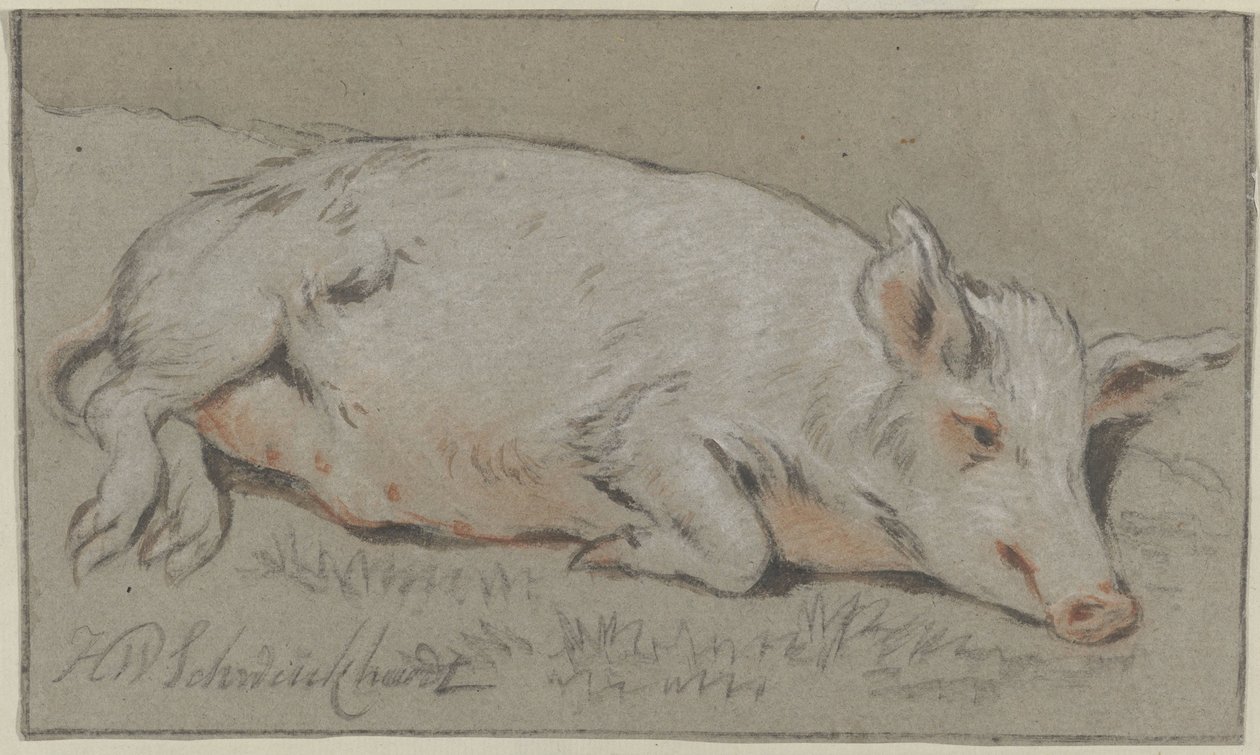 makaava sika tekijältä Hendrik Willem Schweickhardt (signed by artist)