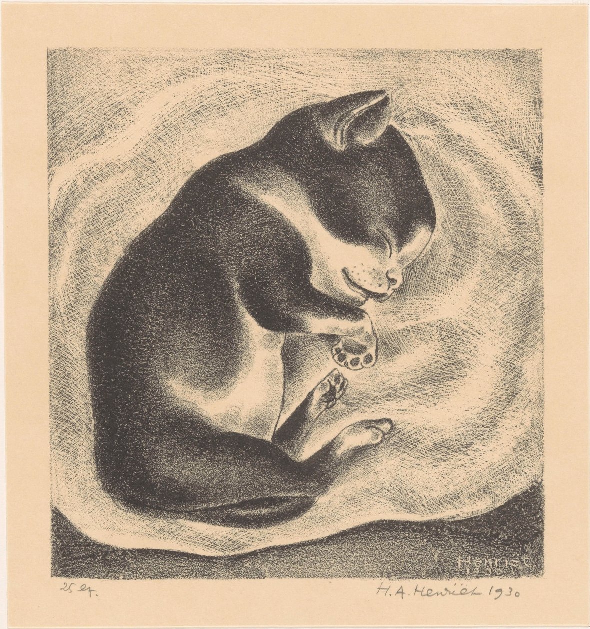 Nukkuva nuori kissa tekijältä Henk Henriët (signed by artist)